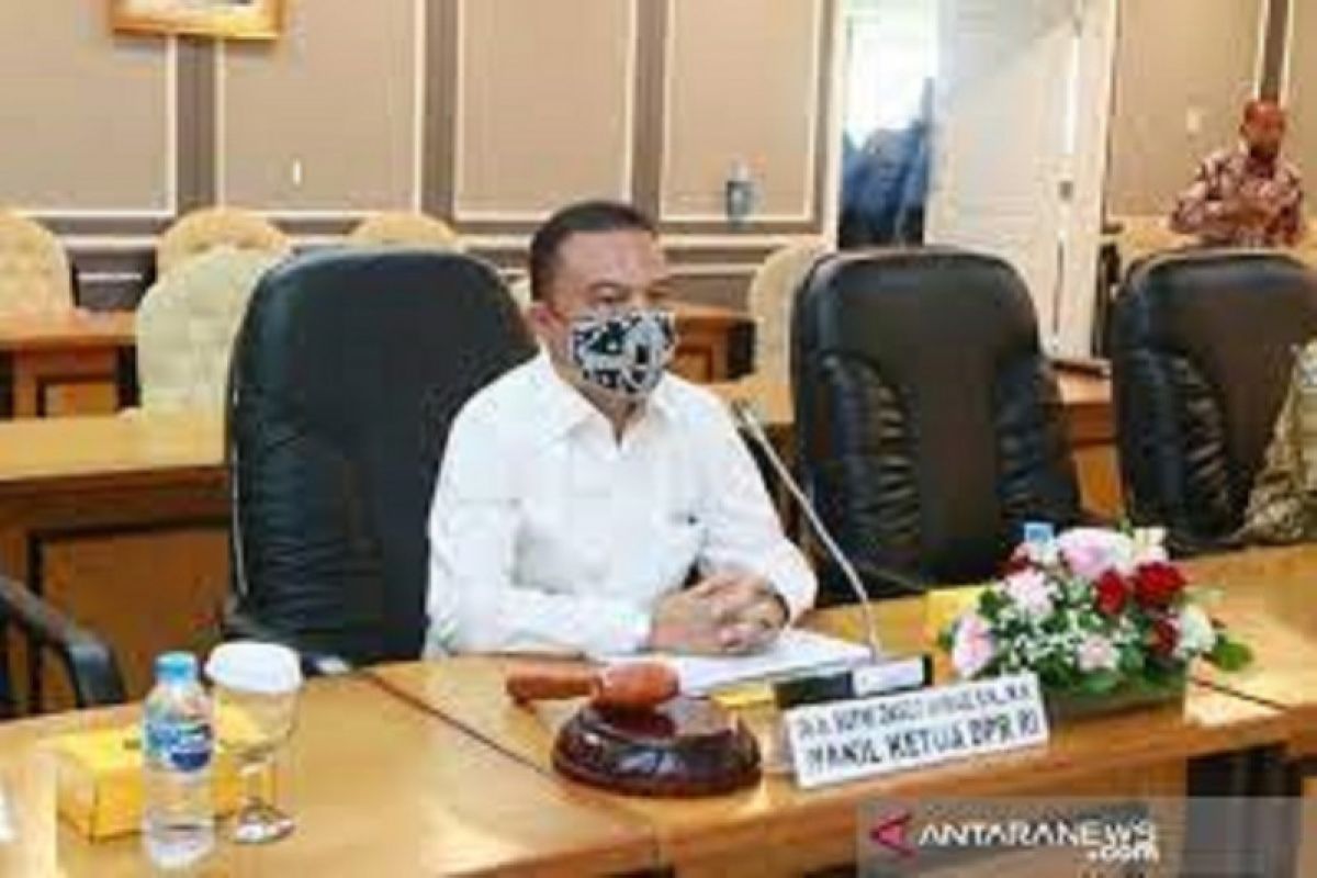 Wakil Ketua DPR Dasco Ahmad minta pemerintah larang WNA masuk Indonesia selama PPKM darurat