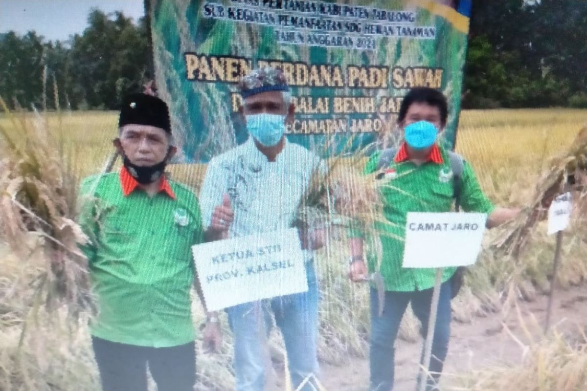 STII berhasil mengenalkan varitas padi Trisakti produksi 13,5 ton per hektare