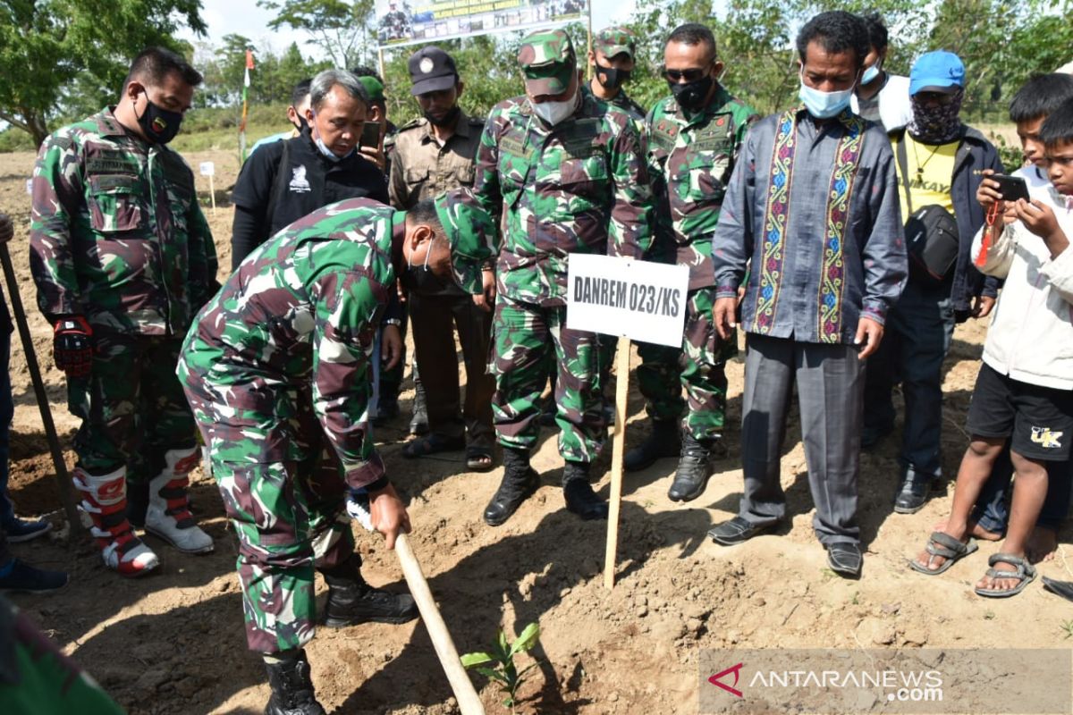 Danrem tanam kopi di Samosir guna dongkrak perekonomian masyarakat