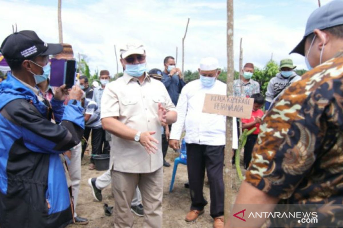 Masyarakat bertanya rahasia Gubernur Erzaldi mampu naikkan harga lada