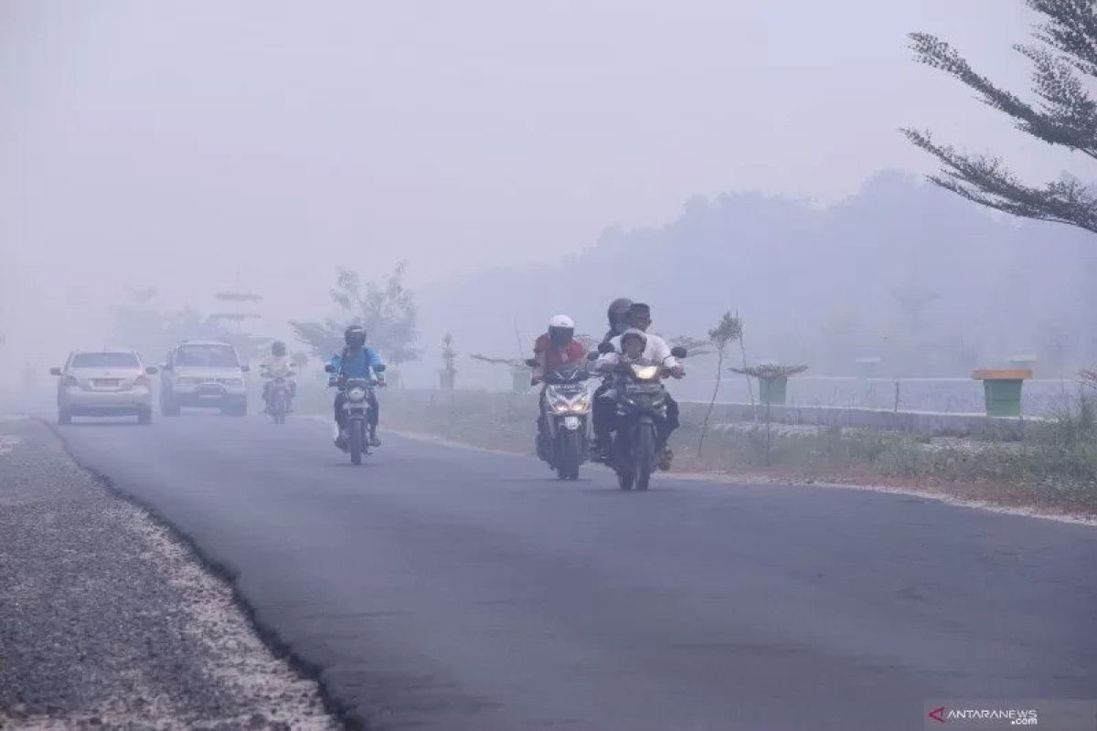 Maksimalkan peran Kelurahan Siaga antisipasi karhutla di Palangka Raya