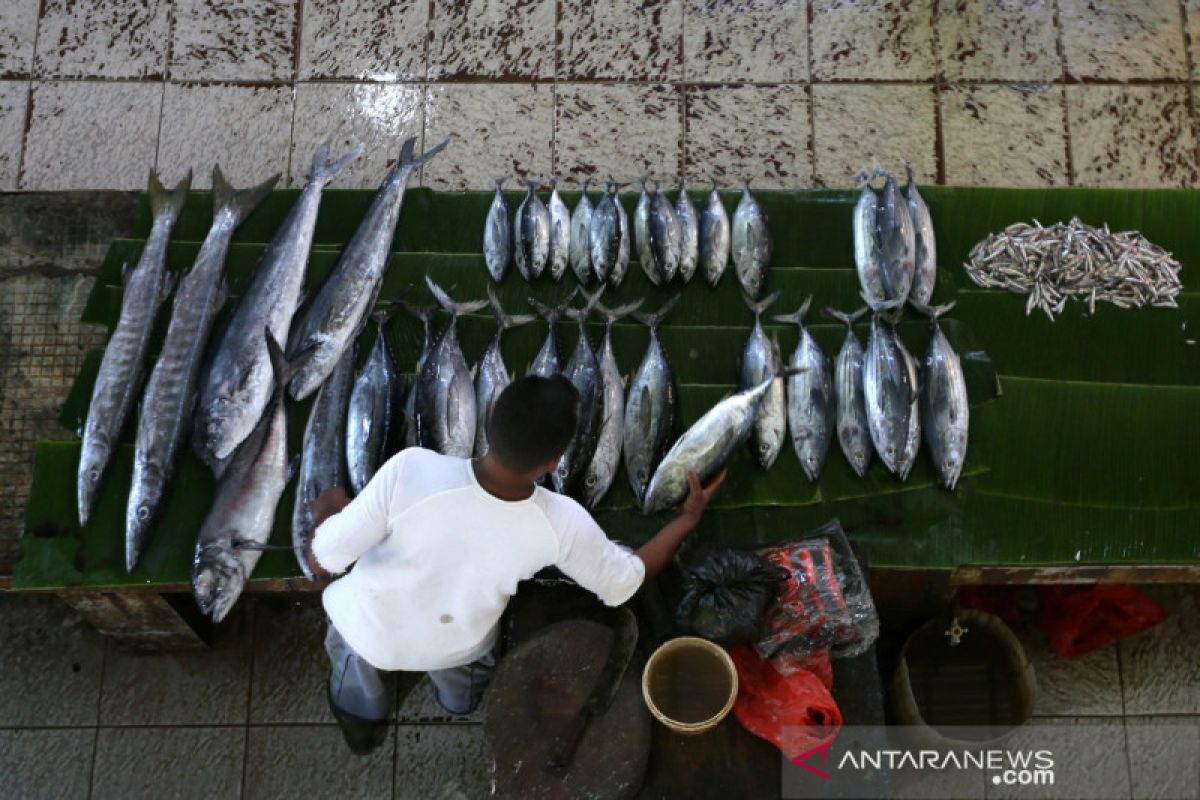 Persediaan Ikan Laut Berkurang