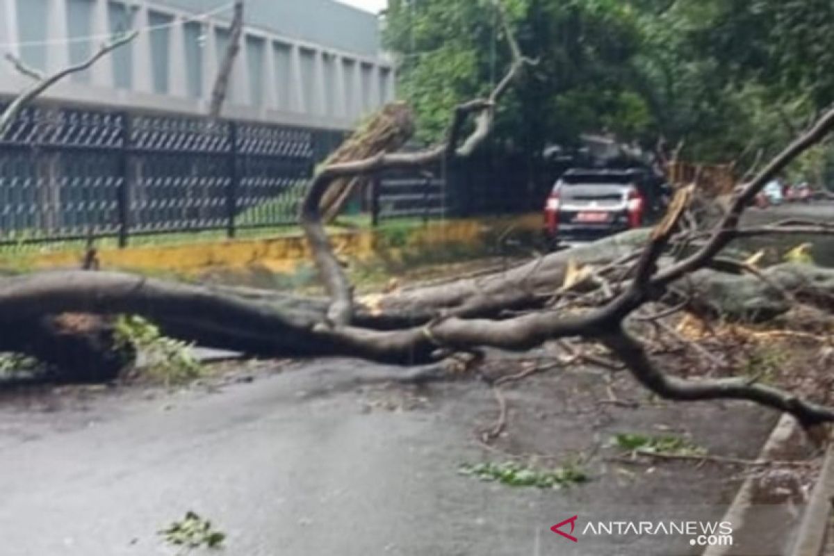 Kota Palembang diterjang angin berkecepatan hampir 100 km per jam