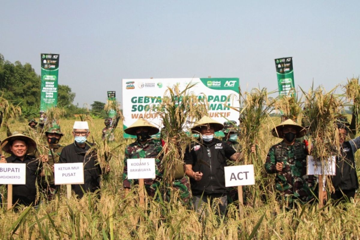 Buahkan hasil, pengelolaan wakaf sawah produktif di Mojokerto panen