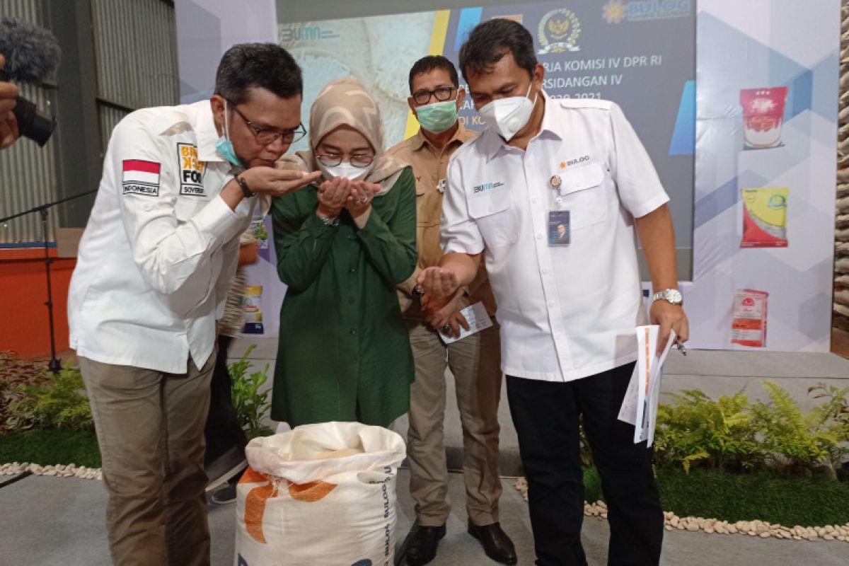 Komisi IV DPR RI tinjau ketersediaan beras di gudang Bulog Sumbar