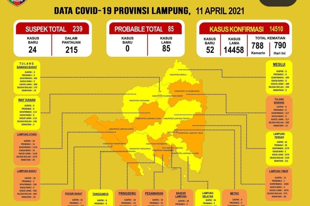 Dinkes catat pasien COVID-19 di Lampung bertambah jadi 14.510