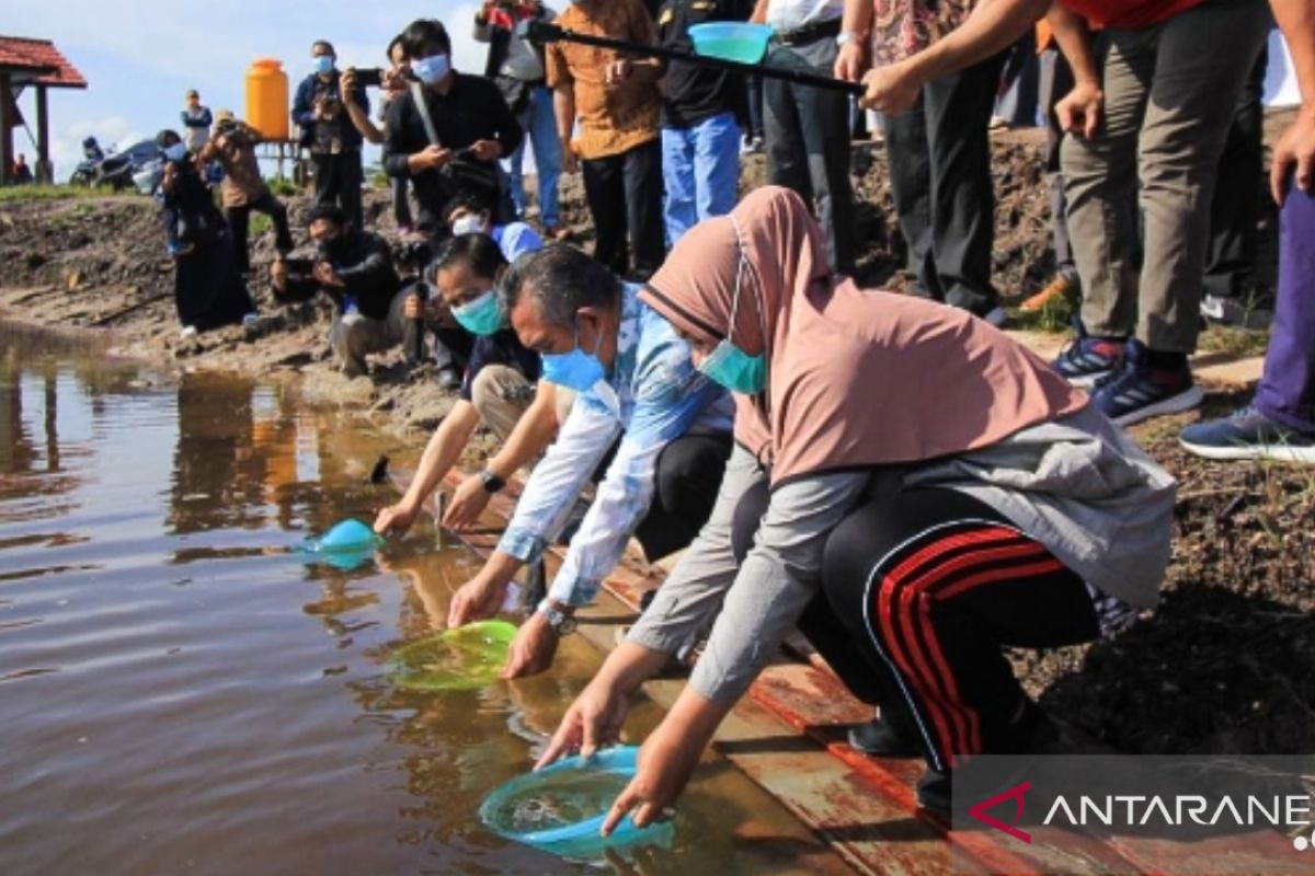 BI Mendorong Peningkatan Produksi Udang Dengan Metode Lactobacillus