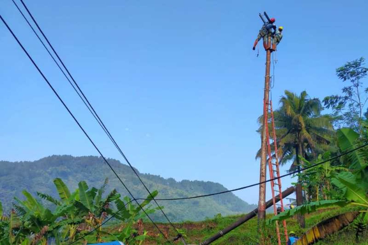 PLN fokus percepat perbaikan jaringan rusak di Kabupaten Purworejo