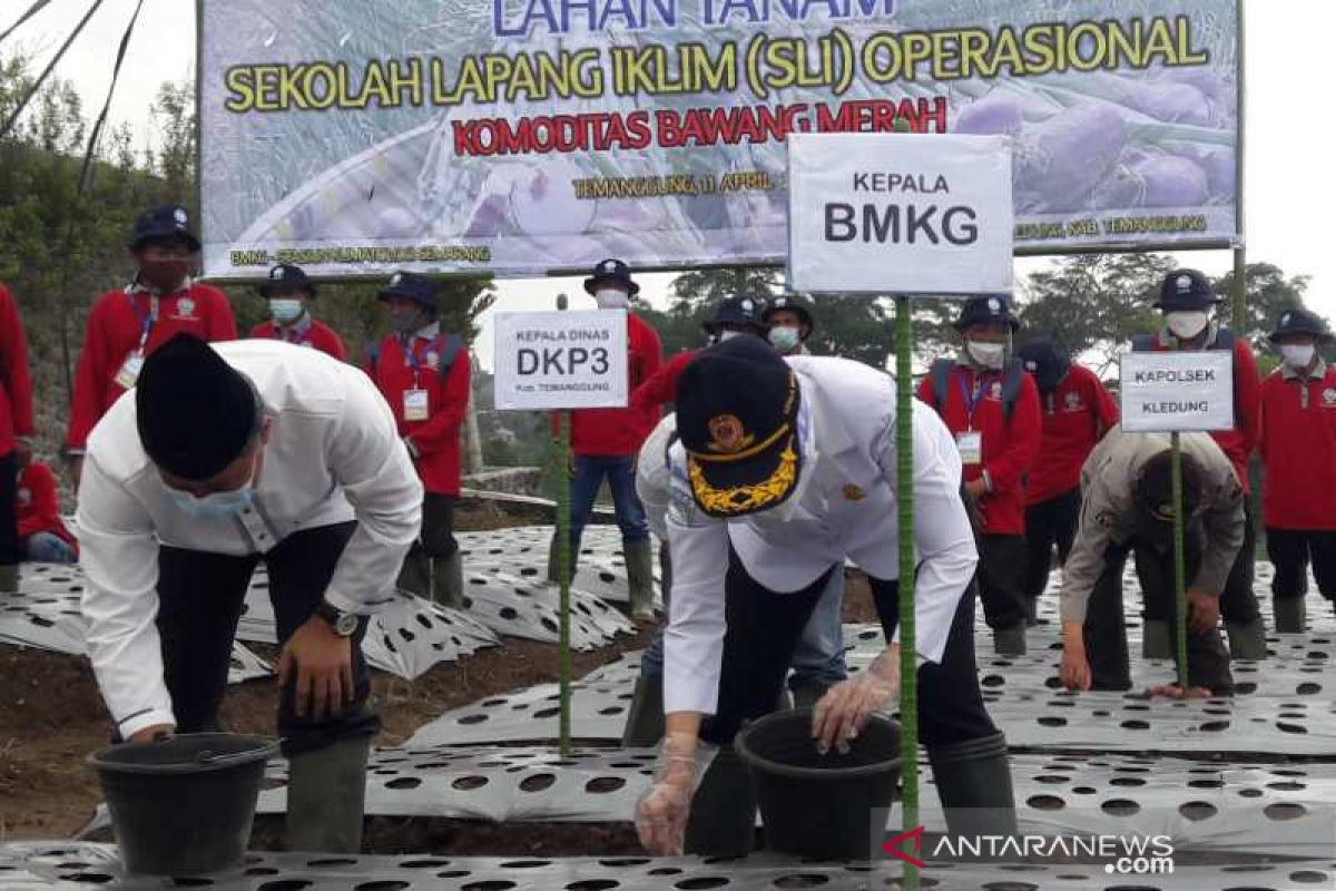 BMKG sebut petani bisa manfaatkan masa pancaroba untuk bertanam