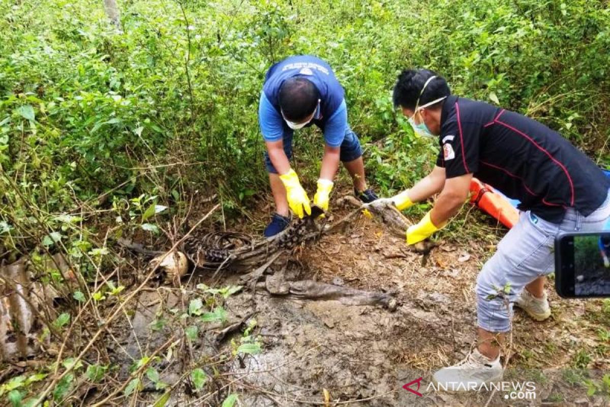 Hilang 43 hari, warga Nagan Raya ditemukan jadi kerangka di kebun karet