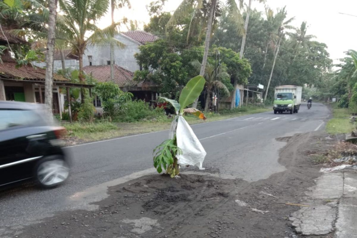 DIY didesak perbaiki Jalan Daendles ruas Brosot-Congot