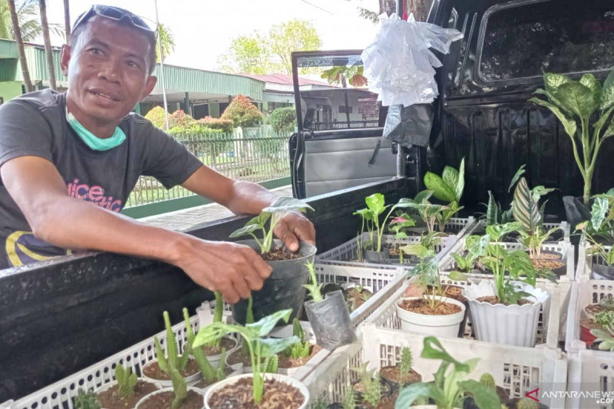 Penjualan Tanaman Hias di Sisingamangaraja  Padang Meningkat Dampak Covid-19