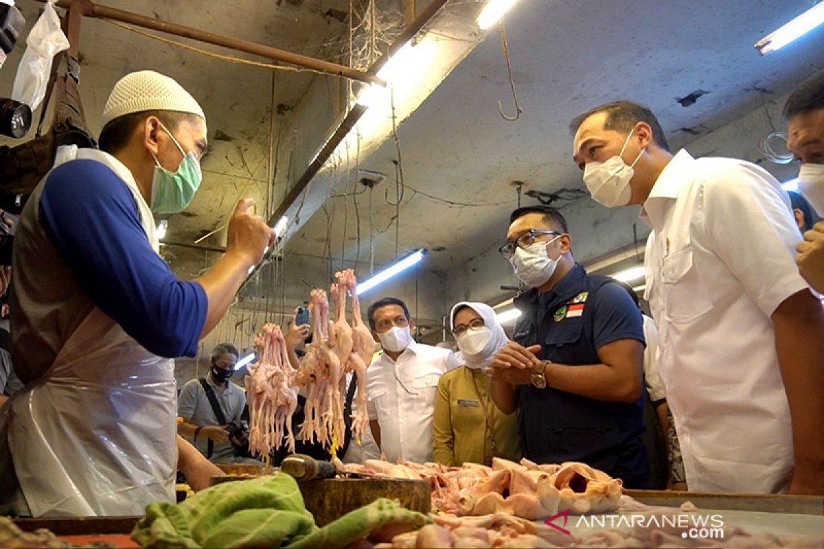 Mendag Lutfi memaklumi kenaikan harga daging ayam