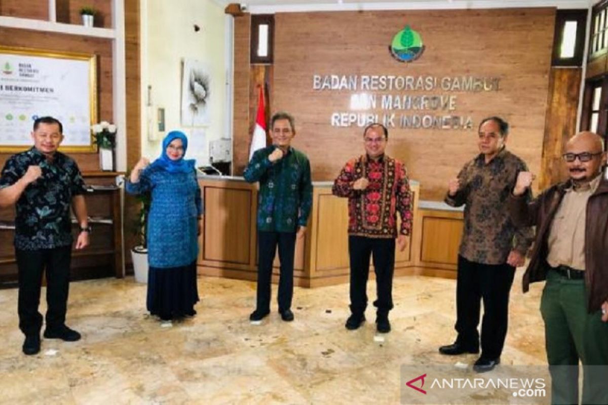 BRGM rehabilitasi 16.319 hektare mangrove di Bangka Belitung