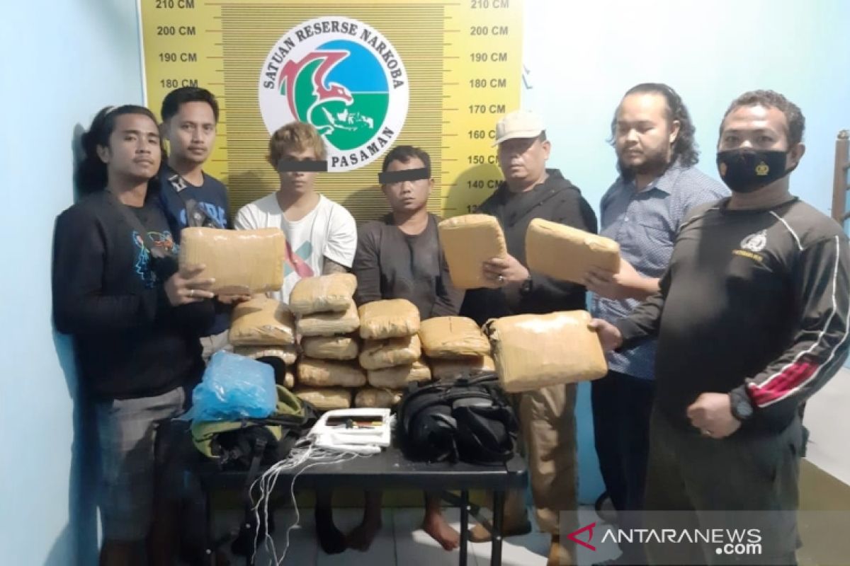 Polres Pasaman tangkap dua kurir dengan 20 paket besar ganja kering