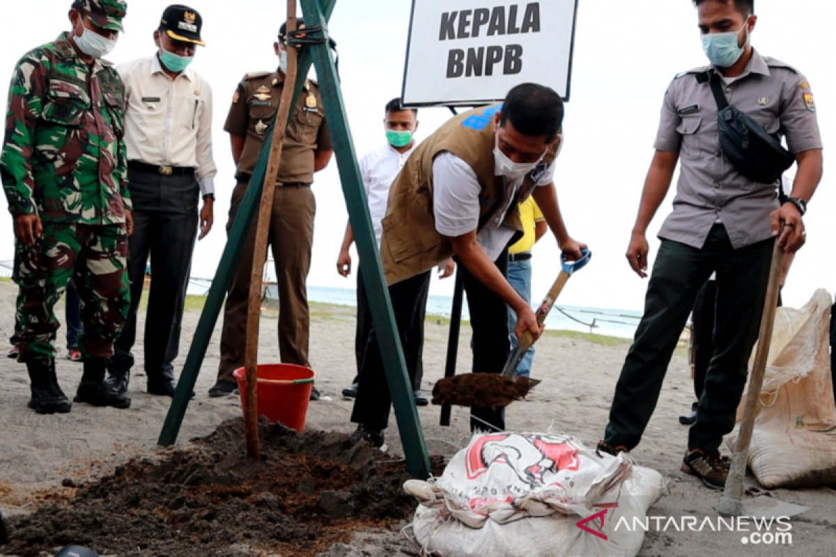 Kepala BNPB tinjau realisasi program vegetasi di pantai Pariaman untuk mitigasi tsunami