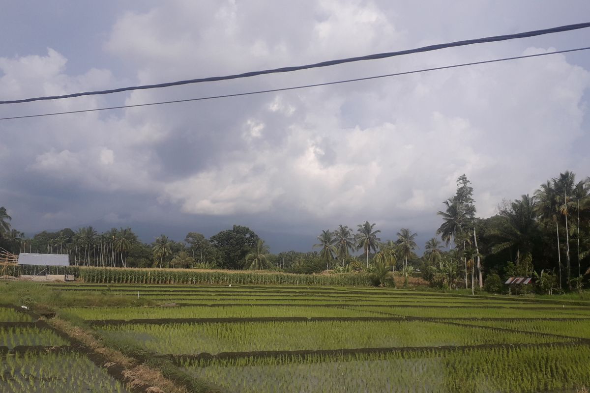 Dalam rangka ini, Pemkab Pasbar segera bangun irigasi di tujuh lokasi