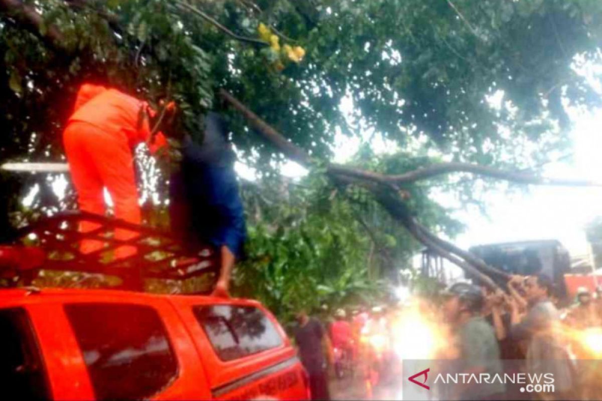 Diterpa hujan deras, banjir dan pohon tumbang landa Kota Bekasi