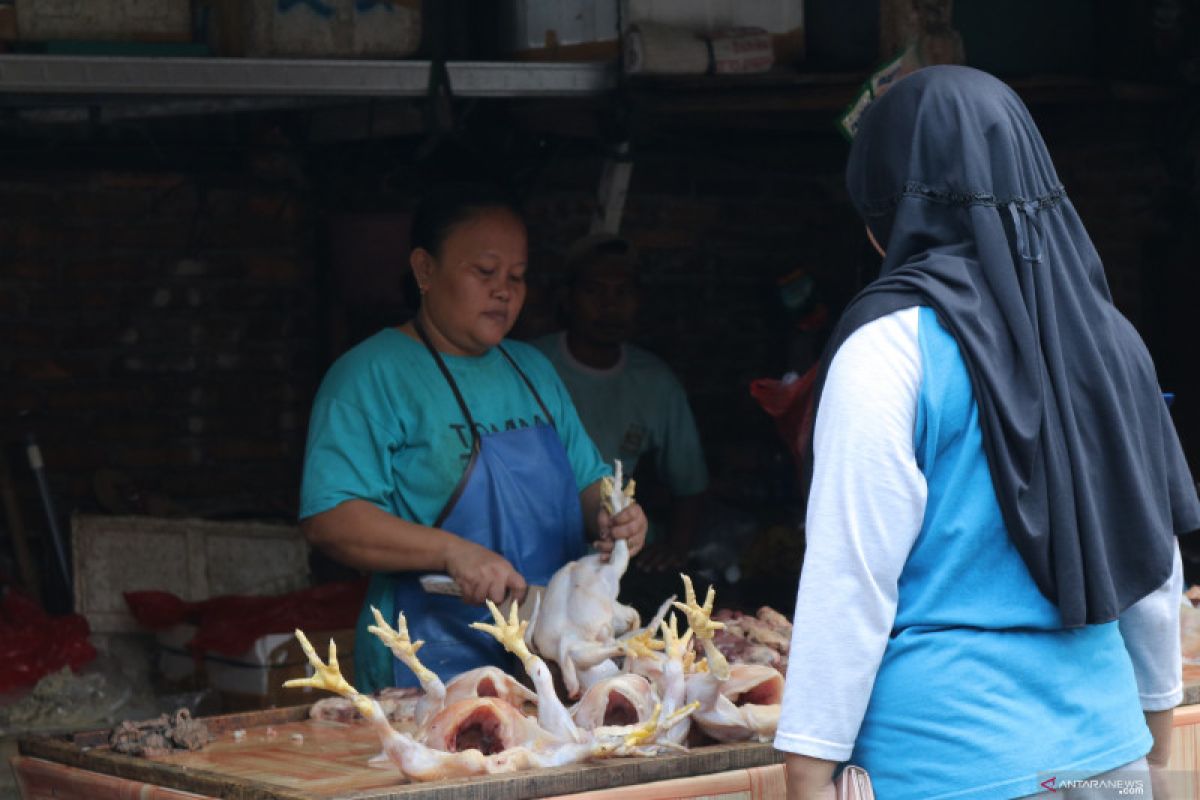 Harga Daging Ayam Potong di pasar Alahan Panjang Naik