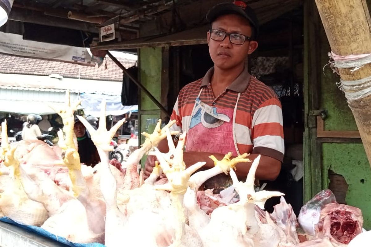Harga daging ayam di Tulungagung naik drastis pada awal puasa