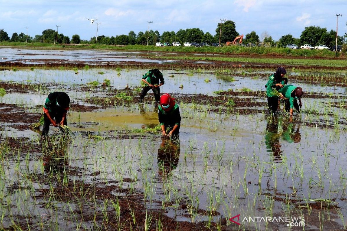 Program pemberdayaan petani di Seruyan perlu ditingkatkan