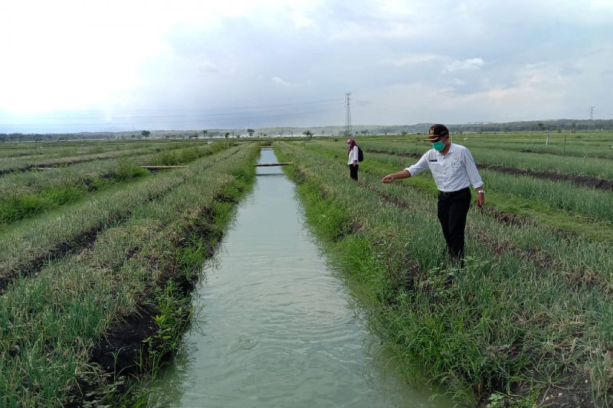 Kulon Progo mendukung petani Srikayangan kembangkan mina bawang