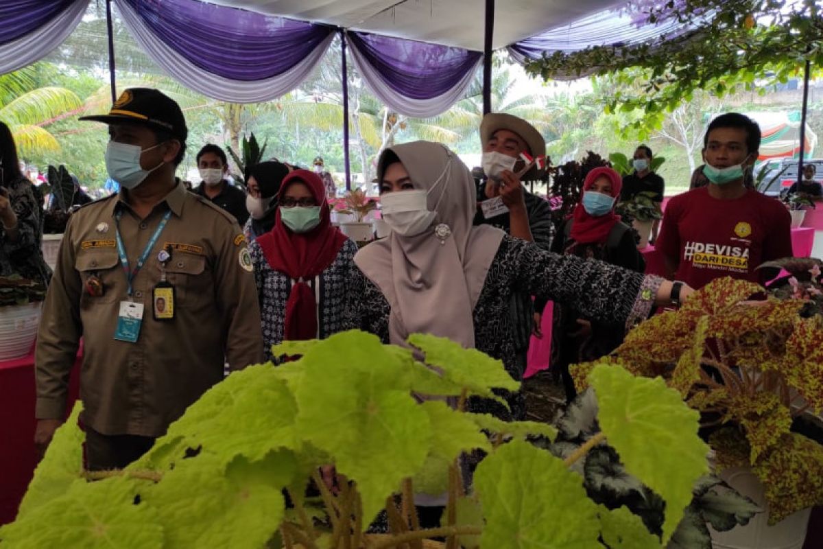 Ekspor tanaman hias Lampung naik signifikan selama 2021
