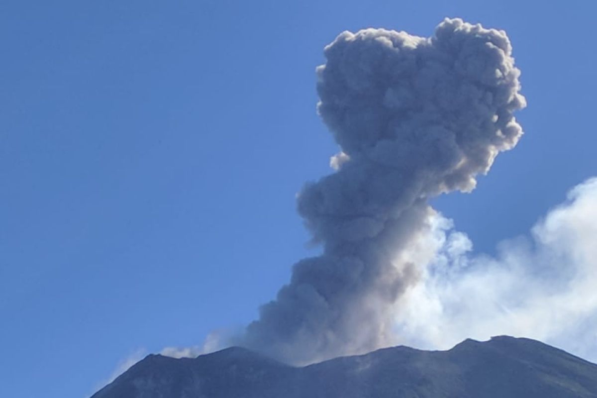 Gunung Lewotolok erupsi setinggi 1.000 meter