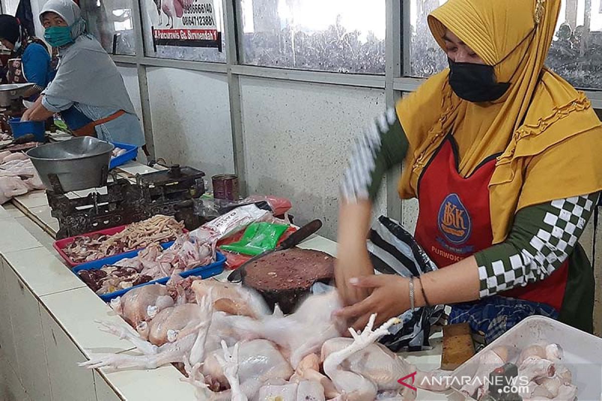 Tergolong tinggi, harga daging ayam ras di Purwokerto turun