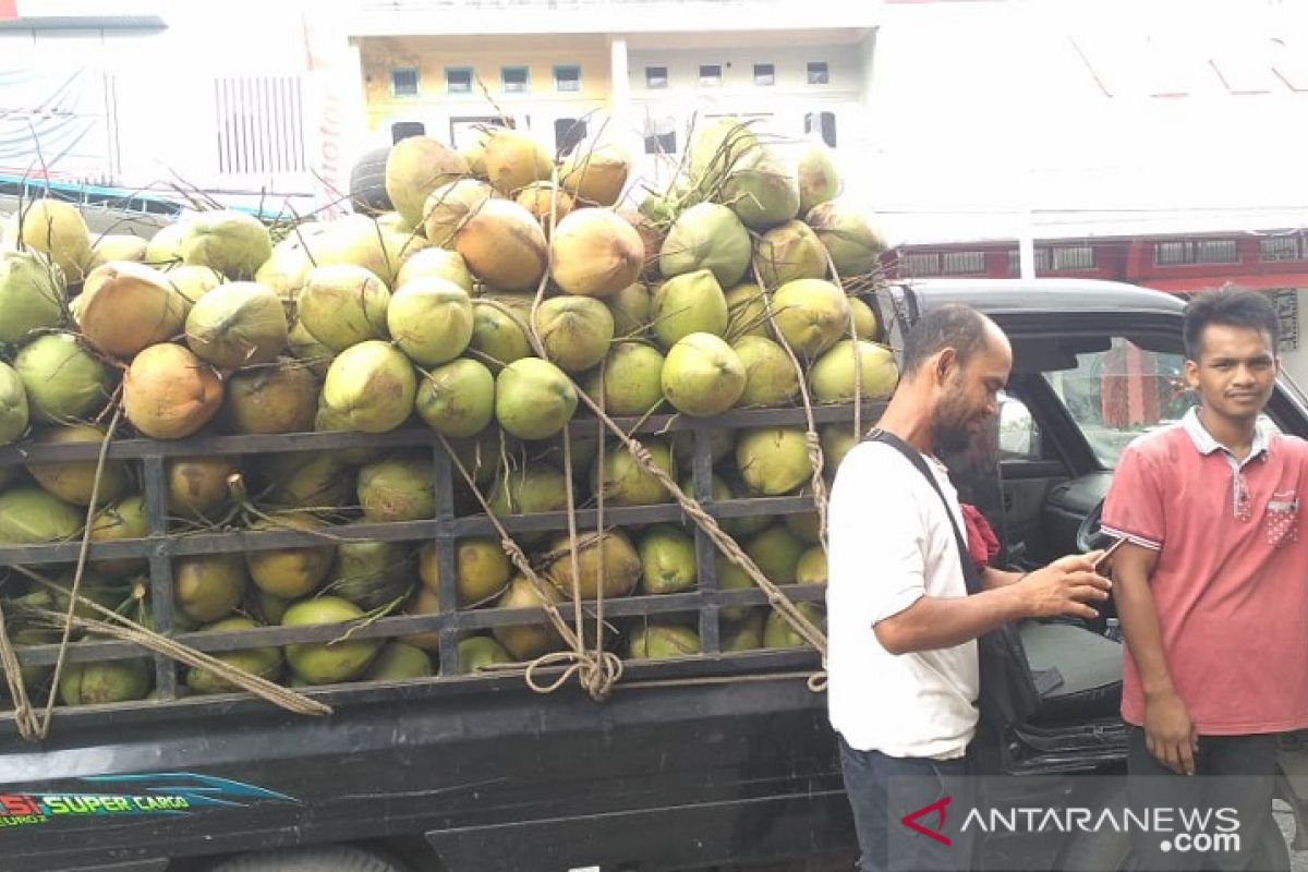 Permintaan kelapa muda di awal Ramadhan di Kota Jambi tinggi