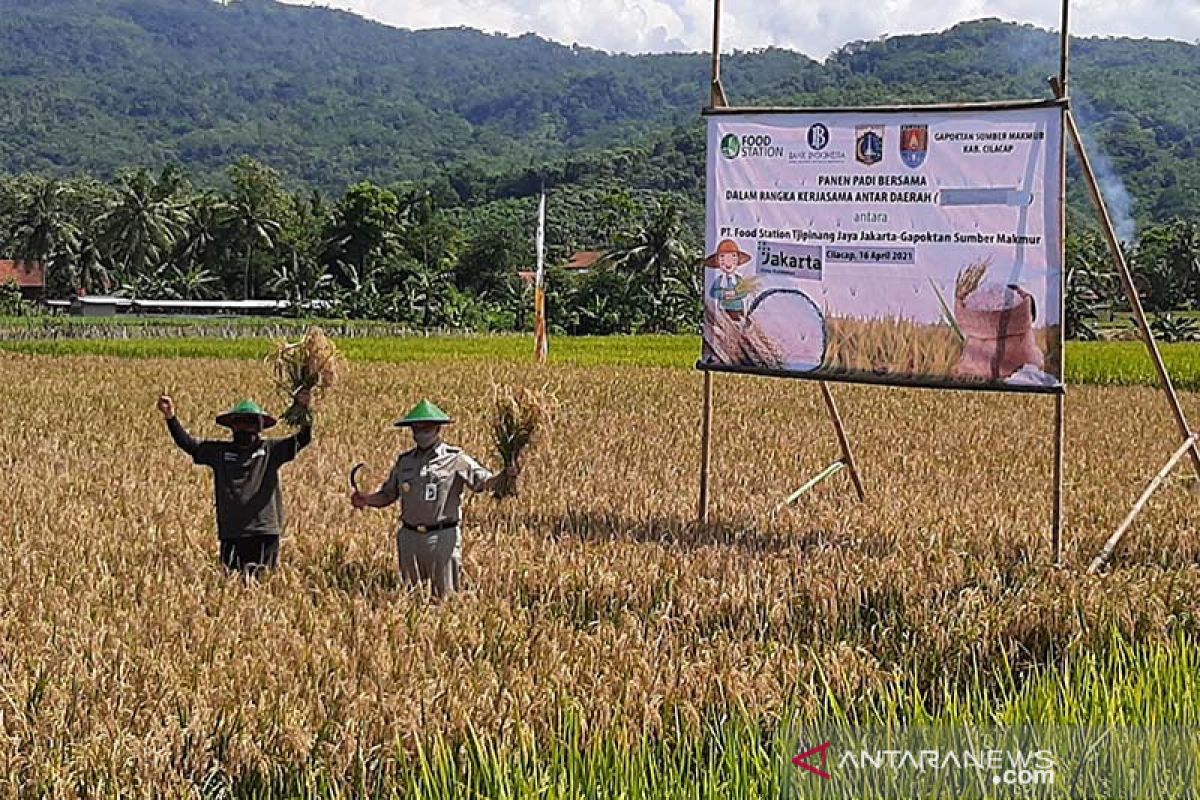 DKI kolaborasi dengan daerah lain untuk jaga ketahanan pangan