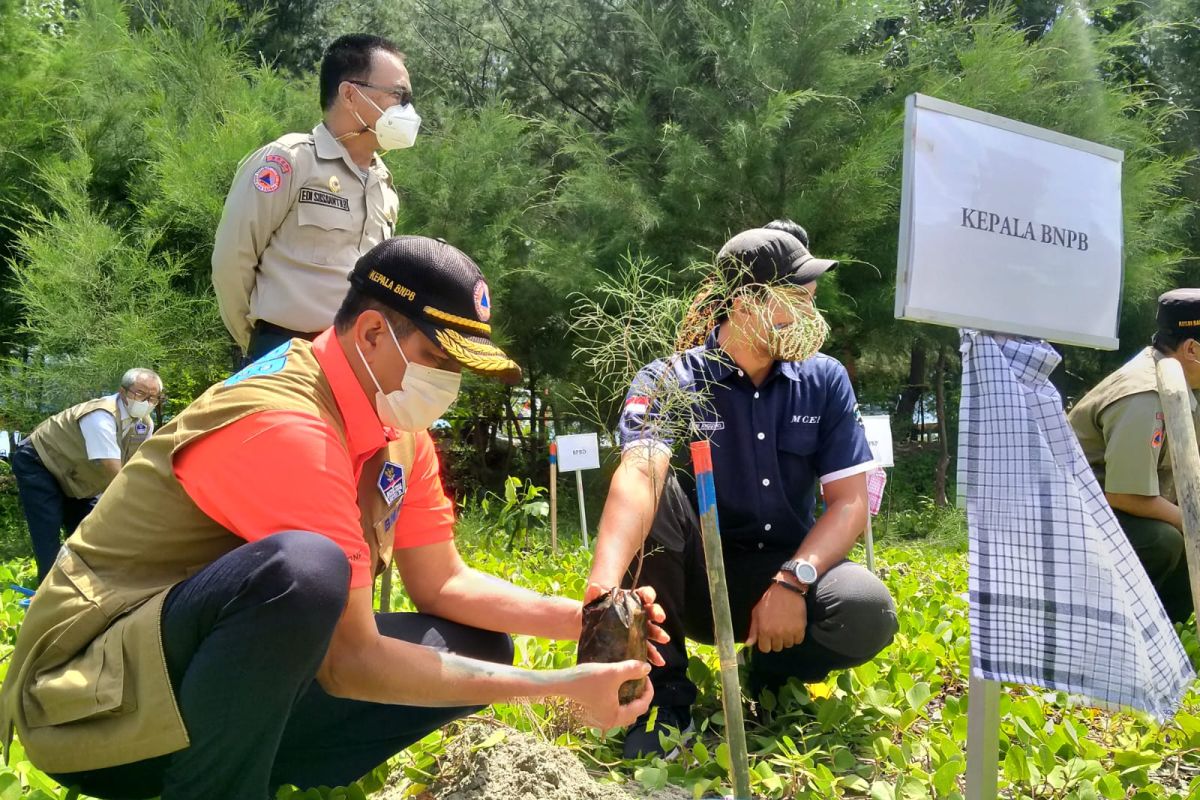 BNPB minta Pemprov Bengkulu teliti segmen megatrhust Enggano