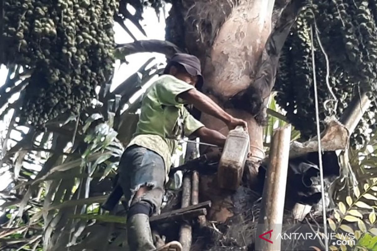 Menengok sentra gula aren di Batanghari