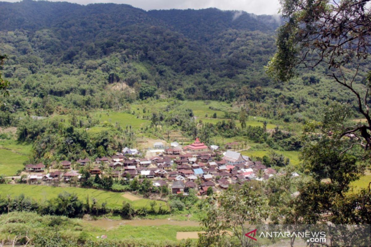 Masyarakat Rantau Kermas jaga hutan kini nikmati listrik