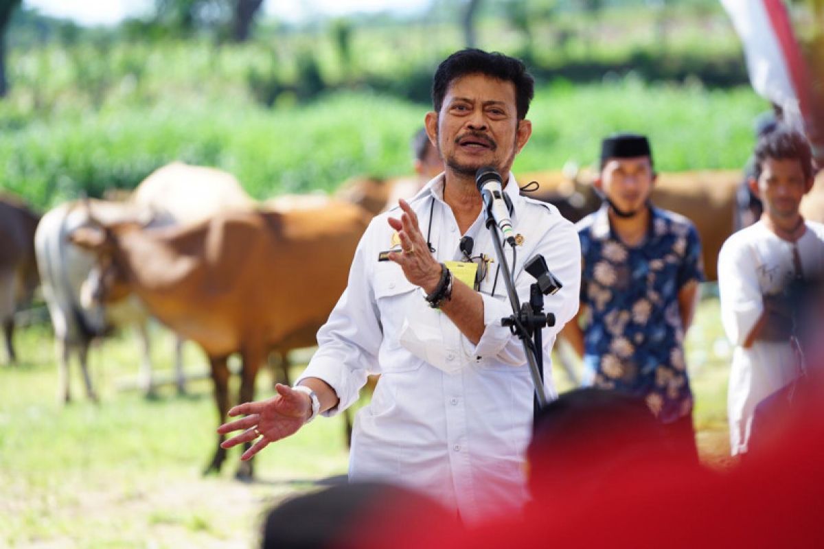 Jeneponto should strive to become quality agriculture center: minister