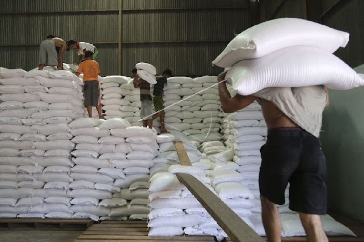 Bulog janji serap 50.000 ton beras petani  Sumsel hingga Mei 2021