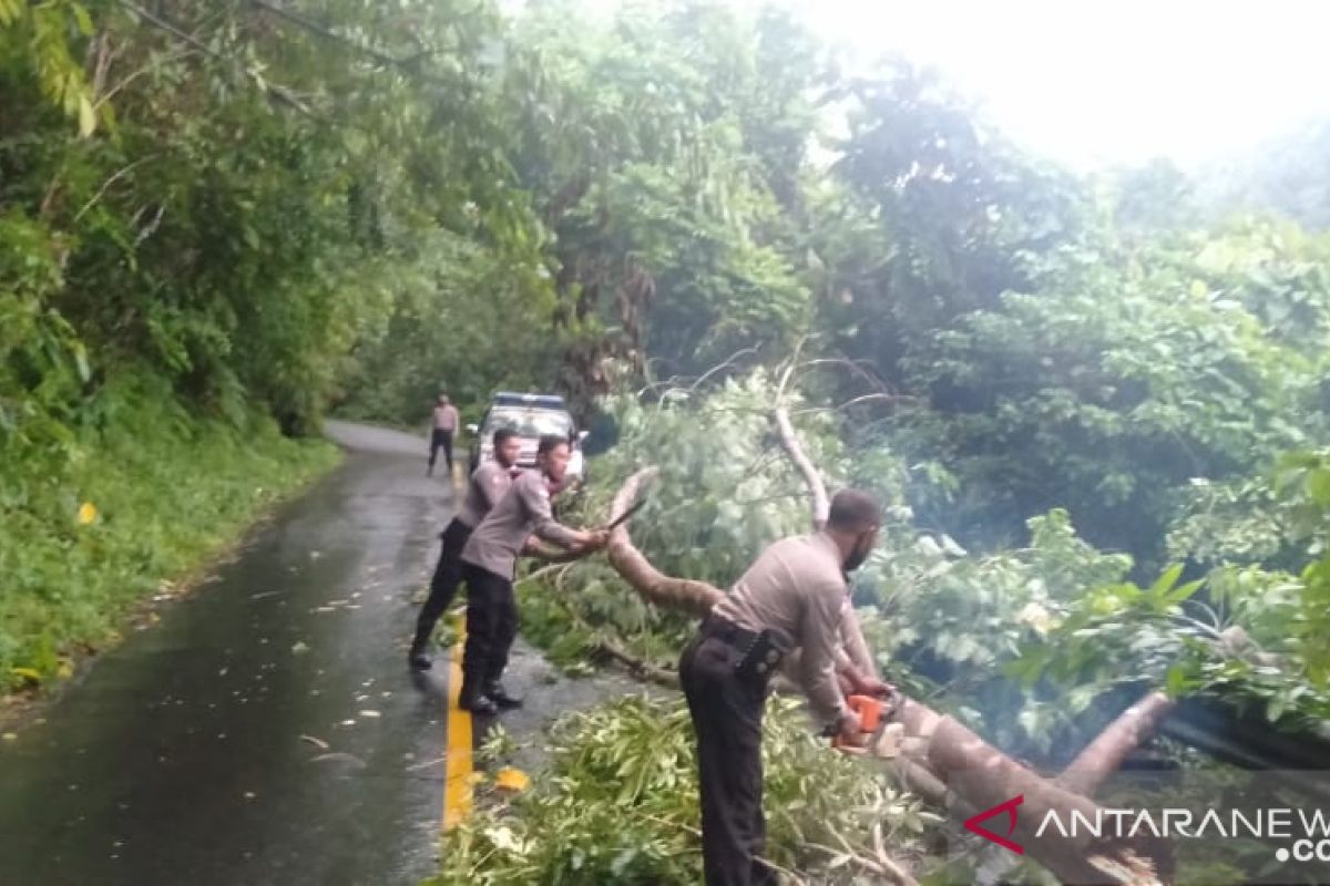 Polres Sangihe buka jalan Tahuna-Manganitu yang tertutup pohon