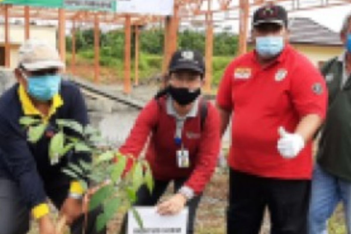 Pemkab Tabalong hijaukan lahan eks TPA Maburai