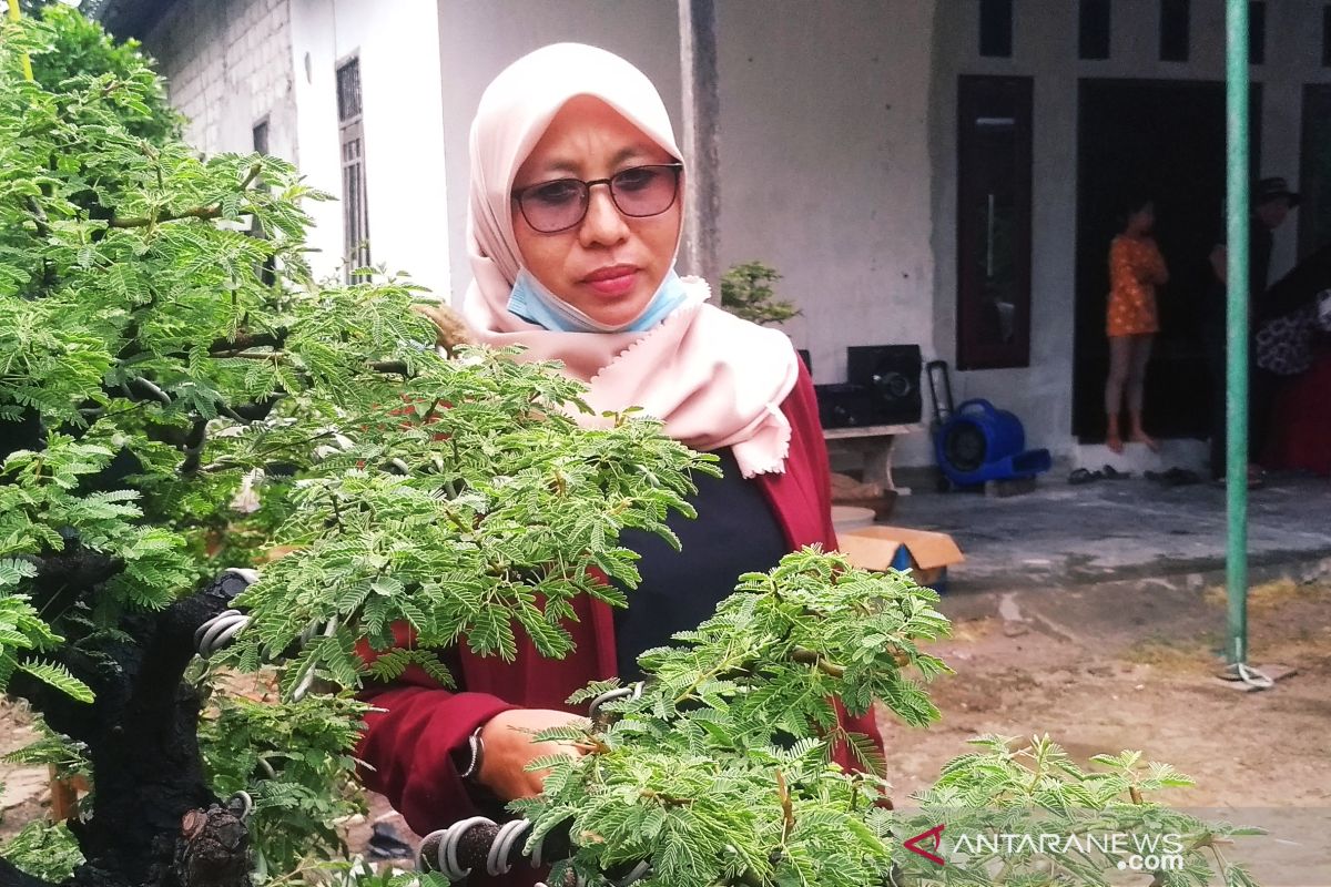 Petani Penajam diminta tanam palawija selama musim kemarau