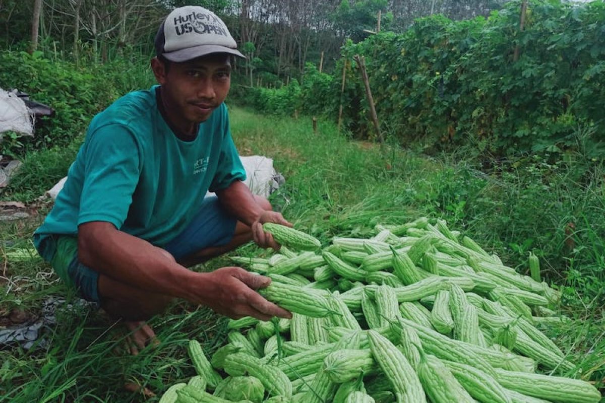 PT BPP dorong petani tingkatkan pendapatan melalui program DMPA