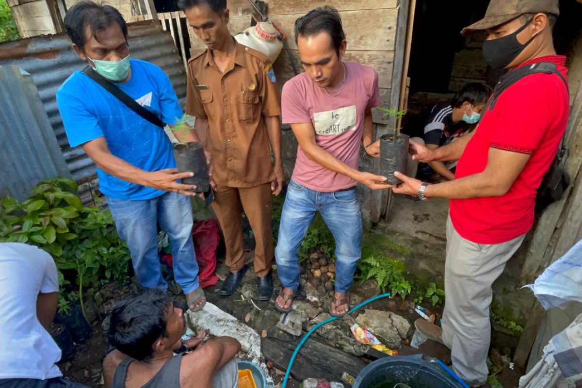 Tanam ganja dalam polybag, pria ini tak berkutik saat ditangkap polisi Pasaman Barat