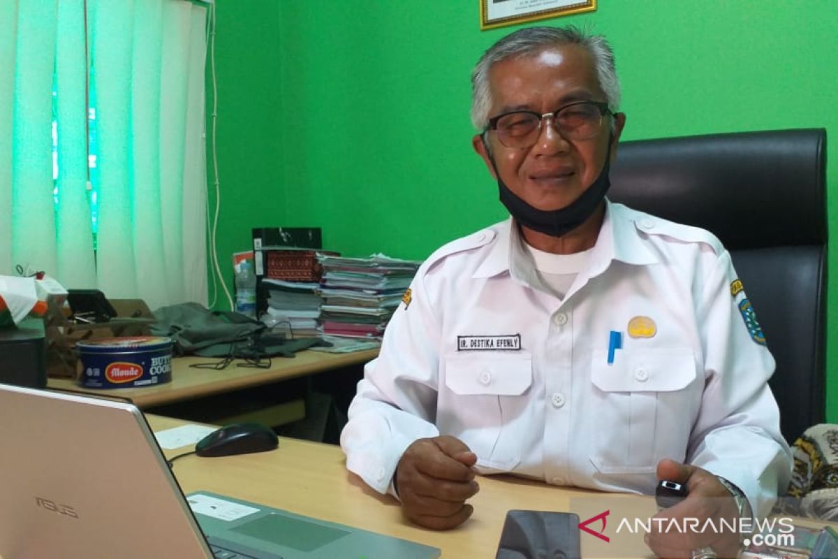 Jumlah sapi potong di Belitung mencapai 400 ekor