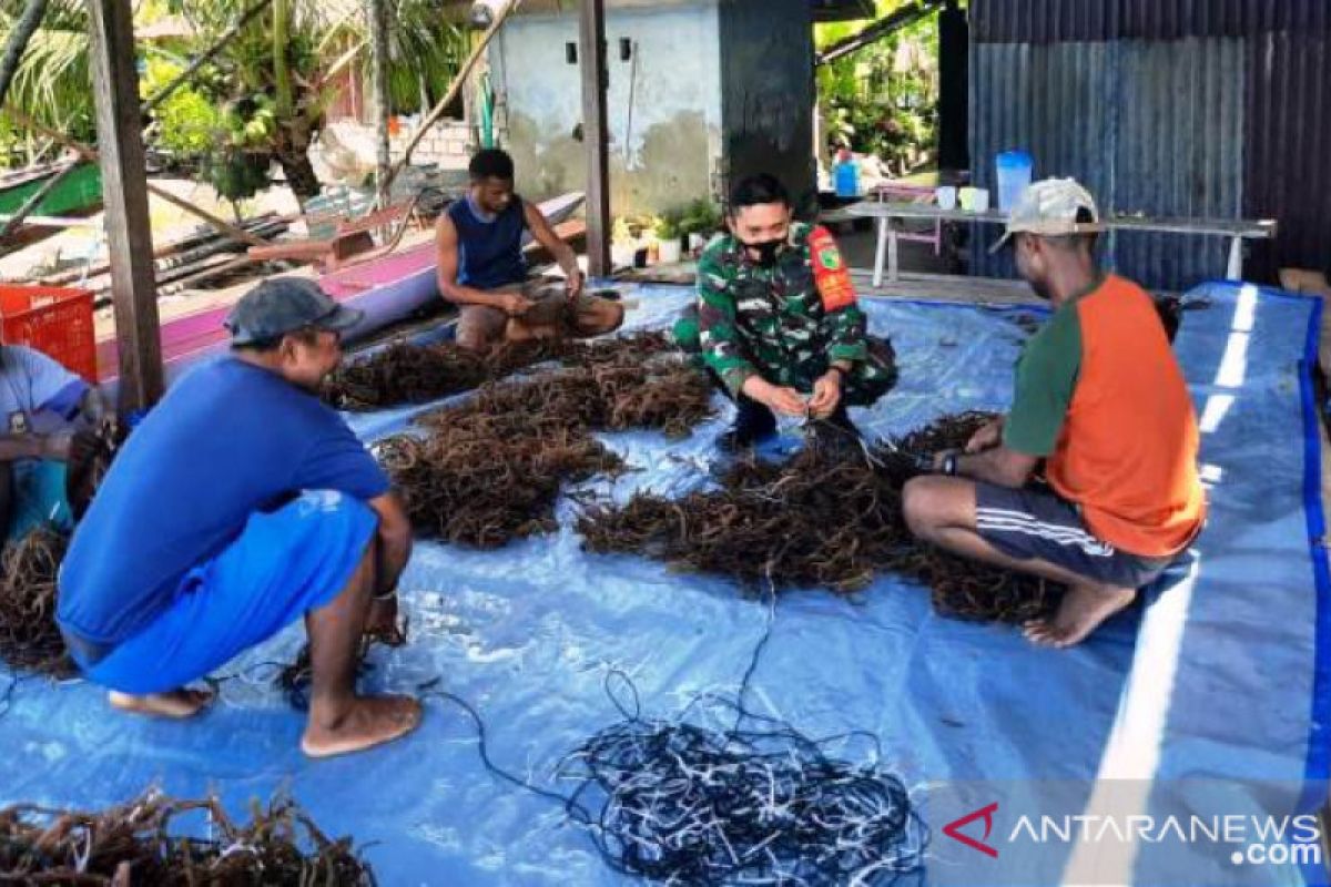 Babinsa Kodim Yawa dukung budidaya rumput laut kampung Sarawandori