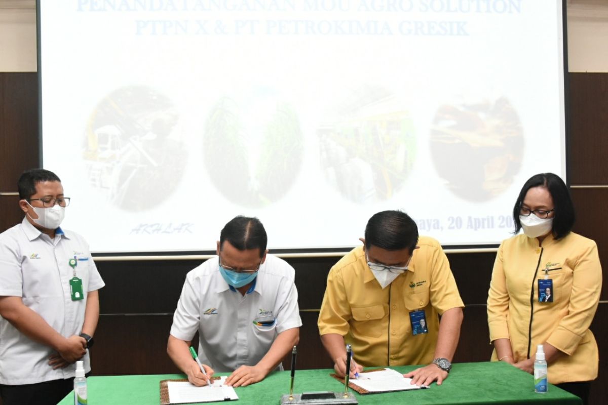 Petrokimia Gresik dan PTPN X kerja sama tingkatkan produktivitas tebu