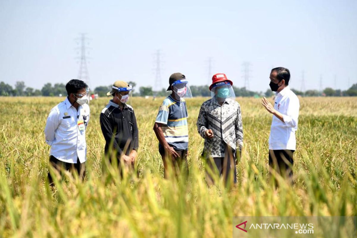 Presiden Jokowi dengarkan keluhan para petani di Indramayu
