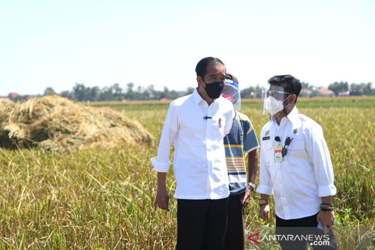 Mentan Syahrul jamin harga gabah petani sesuai HPP