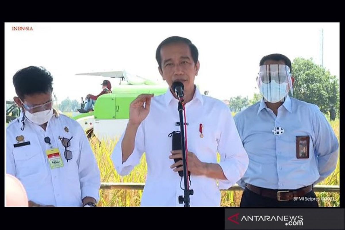 Dalam kunjungan kerjanya, Presiden Jokowi dengarkan keluhan para petani di Indramayu