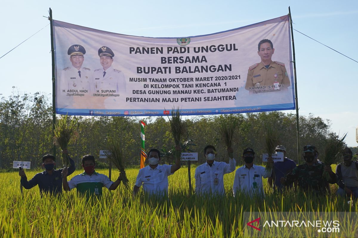 Kelompok tani Desa Gunung Manau harapkan bantuan saluran irigasi