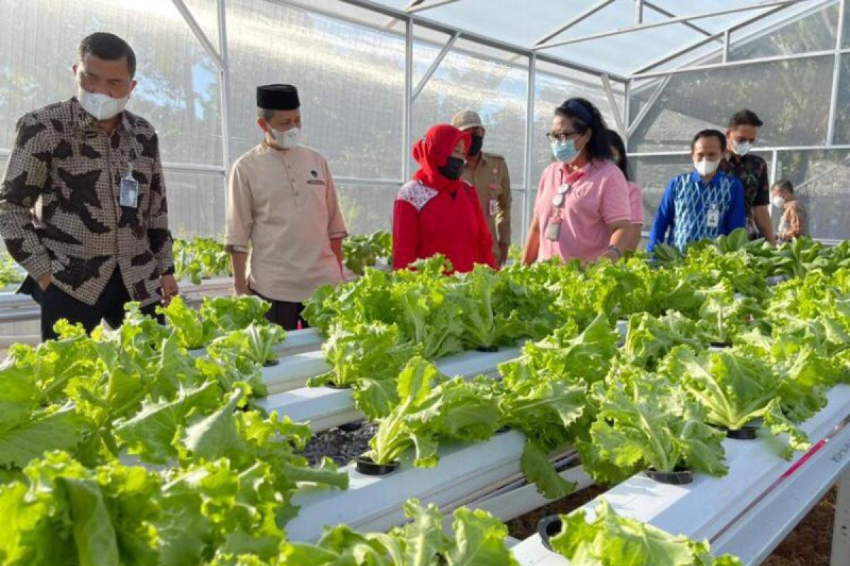 BRI  bantu kelompok wanita tani