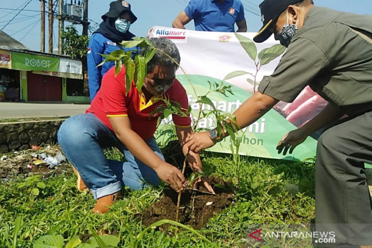 15.000 pohon ditanam Alfamart peringati Hari Bumi